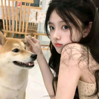 绽放的玫瑰